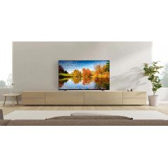 TV-apparater - Luxor 65-tums 4K UHD-TV med inbyggd Chromecast